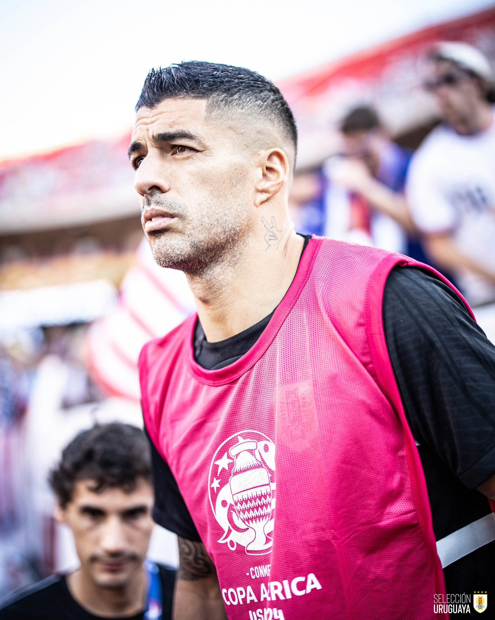 全球瞩目！美洲杯赛事即将收官