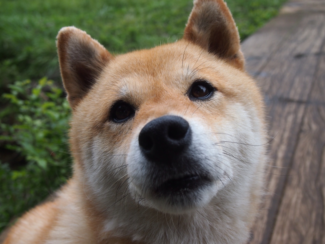 跨界狂飙，篮网升空，赛道惊现三分雨