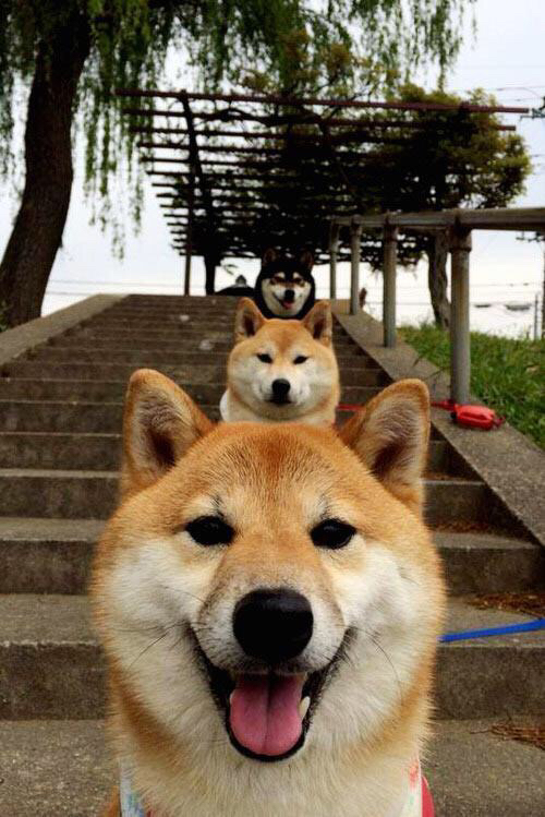 黑铁战吼，喀麦隆在奥运关键战中绝杀黄金铠甲法国