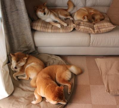 跨越太平洋的篮球心跳，霍勒迪一肩扛起独行侠，击碎天山铁壁