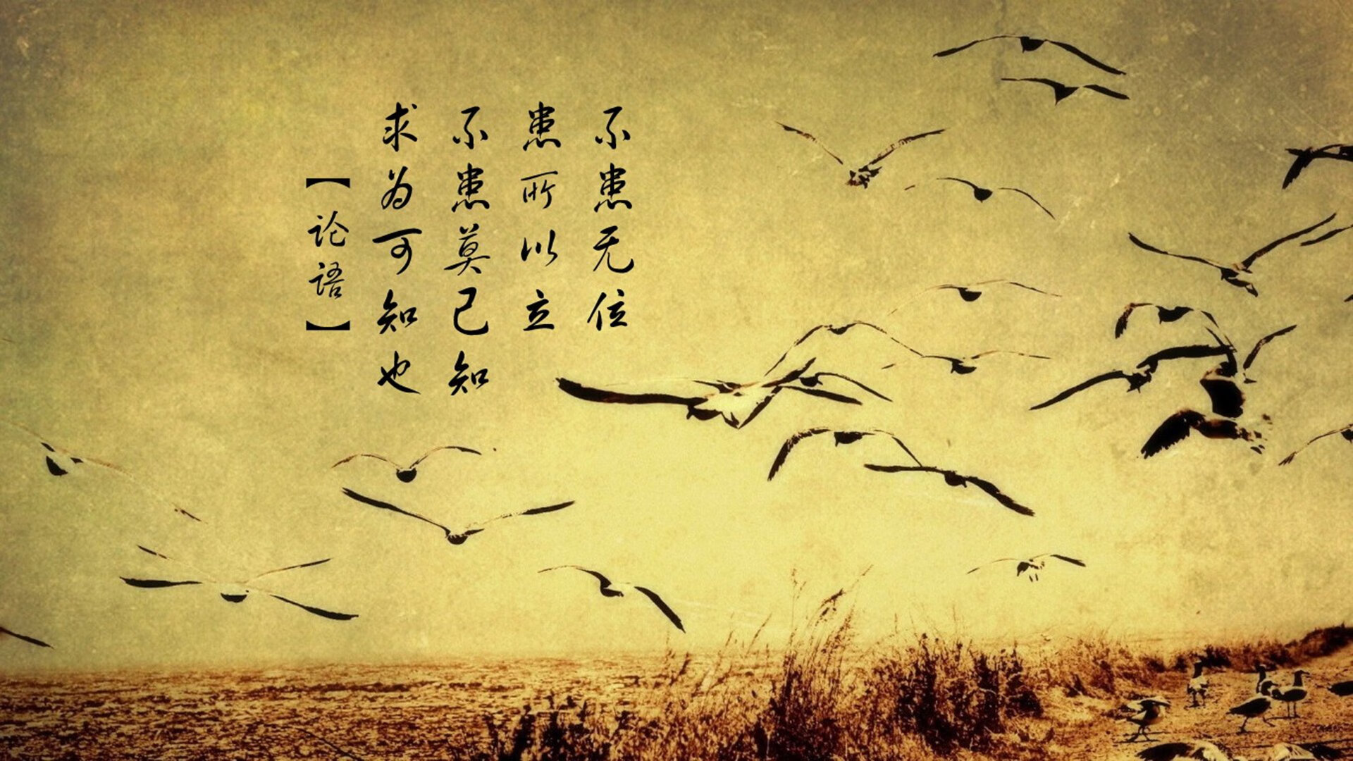 黄金海岸奇迹，加维加时一锤定音，新西兰绝杀卡塔尔晋级世界杯