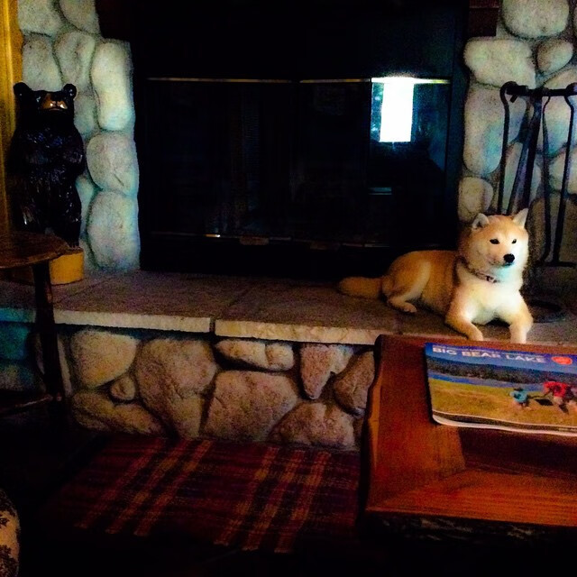 心跳·蓝白交响曲—若日尼奥扛起黄潜，以连续得分压制爱琴海的风暴