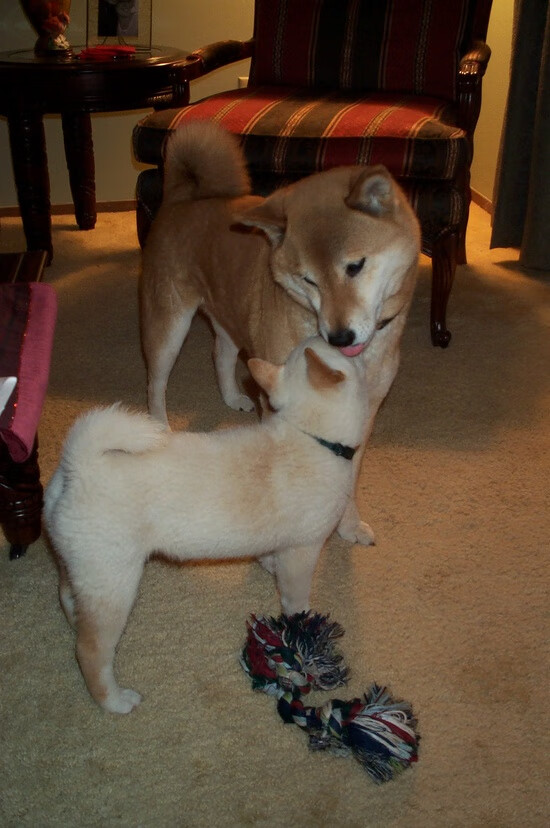 数据与胜利交错之夜，杜兰特写下唯一解，76人奏响碾压交响曲