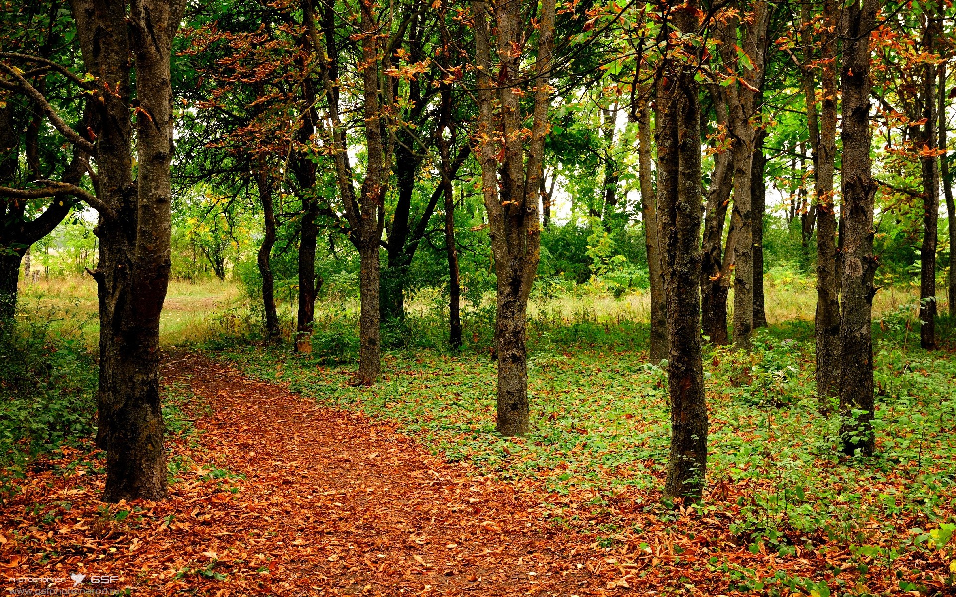 黑金之心，奥斯梅恩一脚踢碎欧洲红魔的傲慢预言