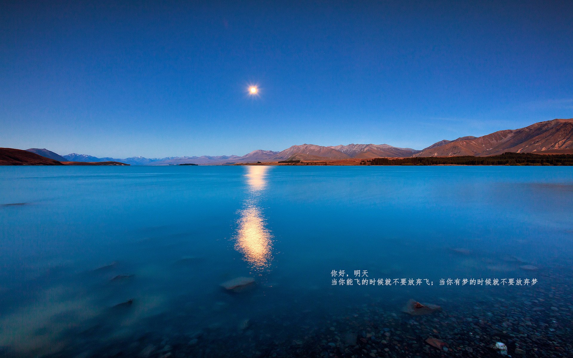 冷光之夜,当迪亚斯在F1年度争冠之战中成为唯一焦点