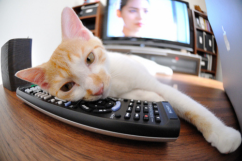 三分雨与英雄泪,沙特火力全开难敌末节惊雷,特奥独舞逆转乾坤