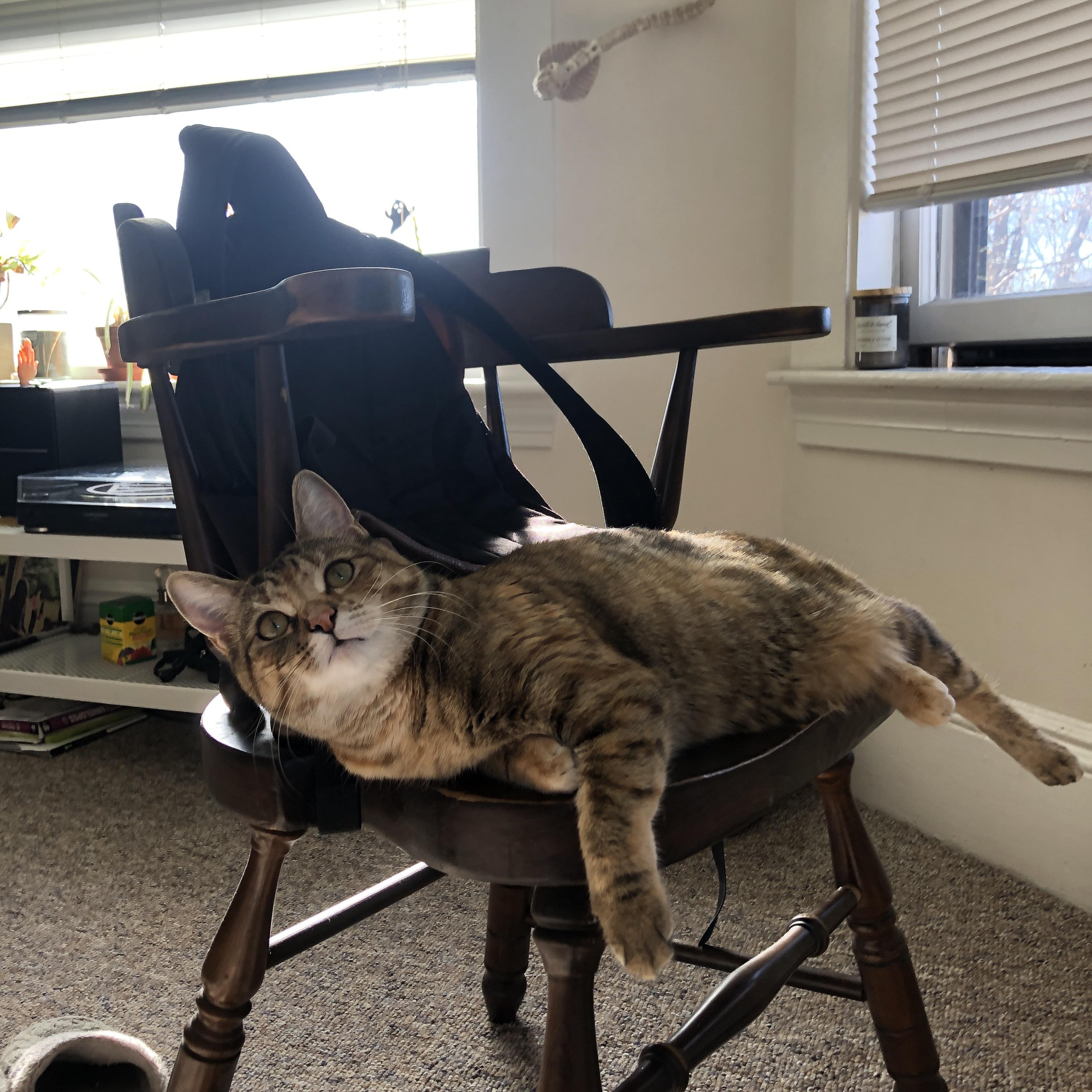 托尼的时钟与皇马的棋盘,当纪录刷新遇见战术压制