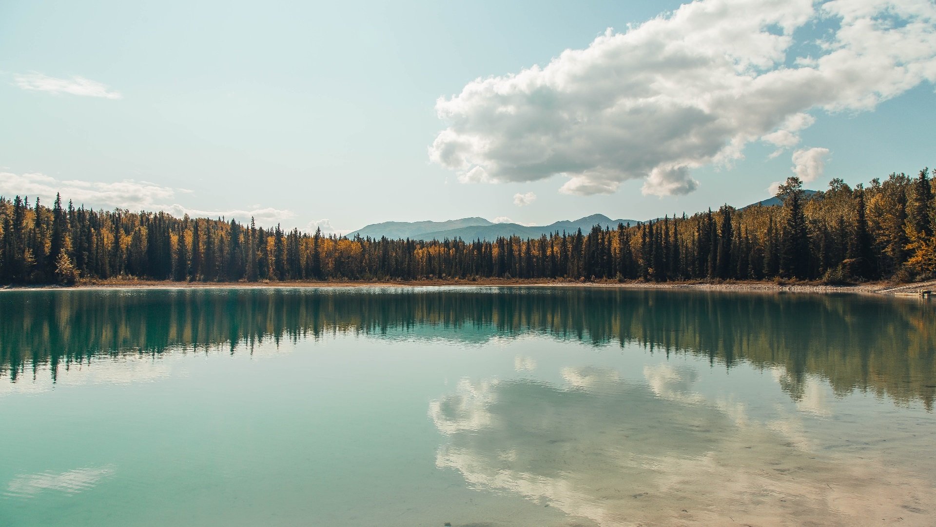 威尔士飓风粉碎贝利坚盾，莱万两记重锤锁定历史性胜利