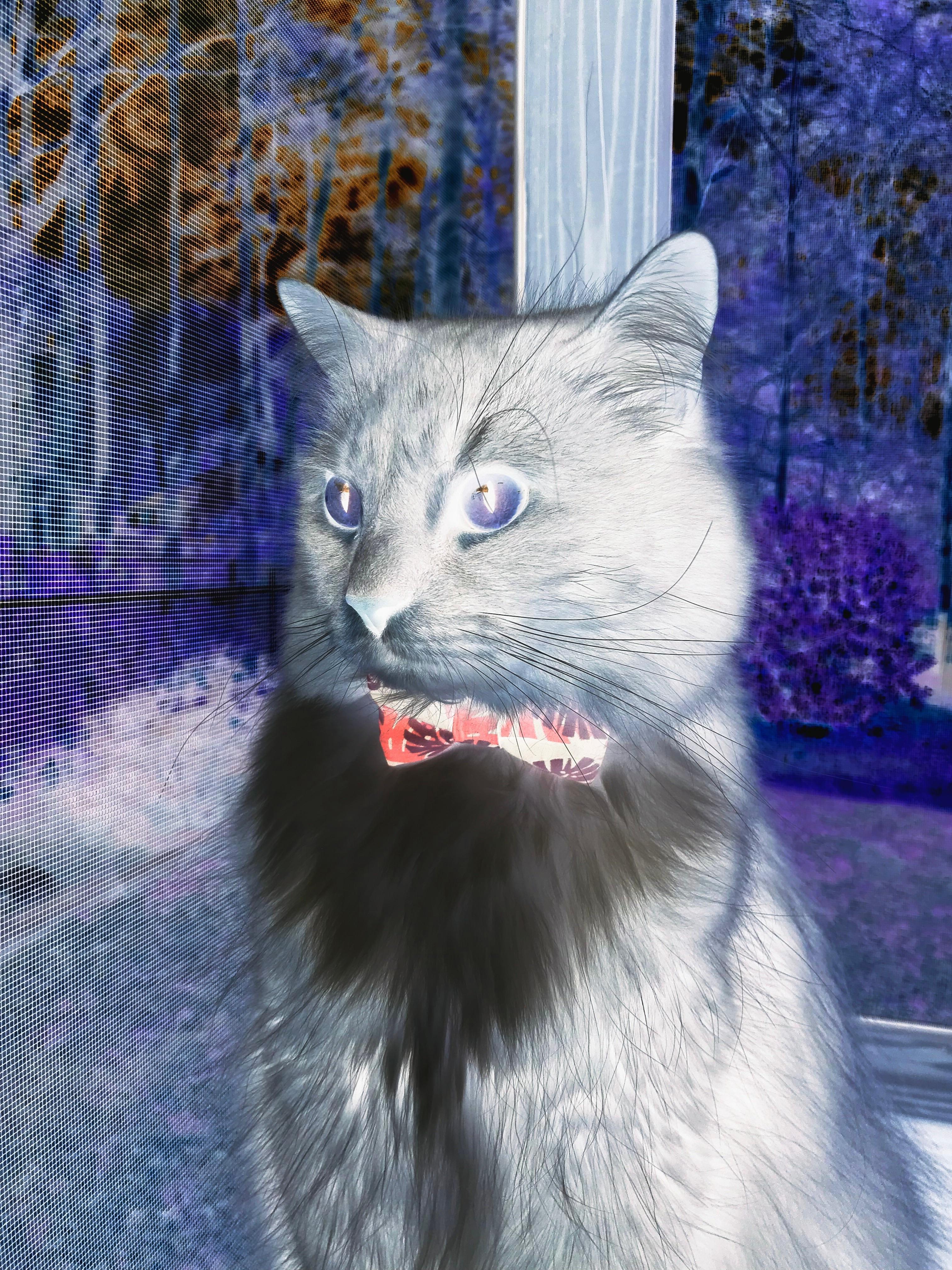 维尼修斯节奏掌控，NBA季后赛之夜的篮球艺术