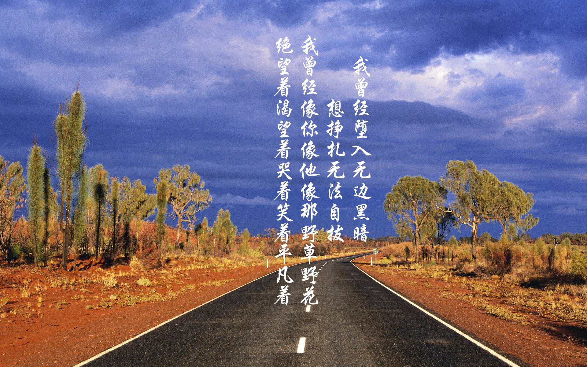 沙漠之狐的黄昏，与血色安第斯的闪电战，2026世界杯C组，智利如何用三笘薰的刀刃，划破伊朗的钢铁防线