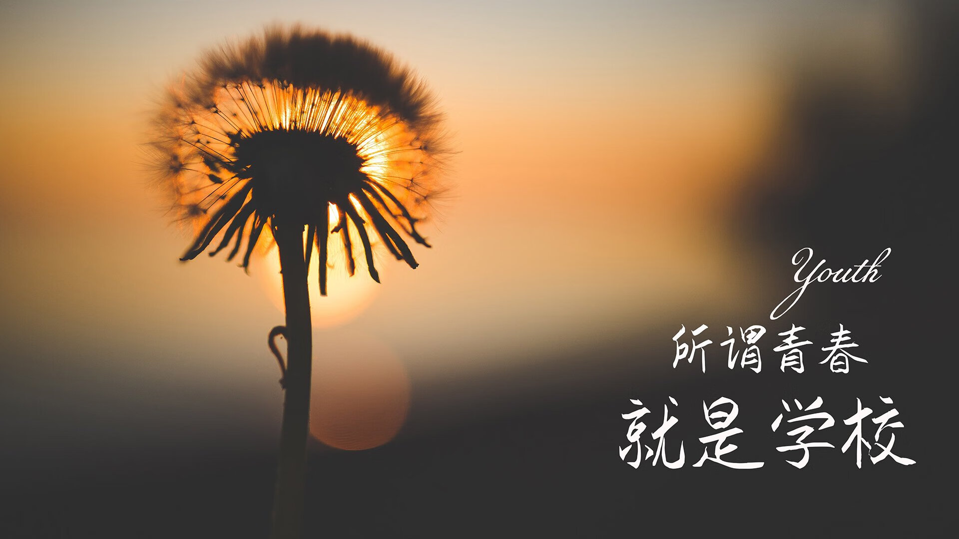 极光破晓，北欧神话在卡塔尔凛冬上演，阿诺德一个人的精确制导，是如何摧毁罗马尼亚防线的？